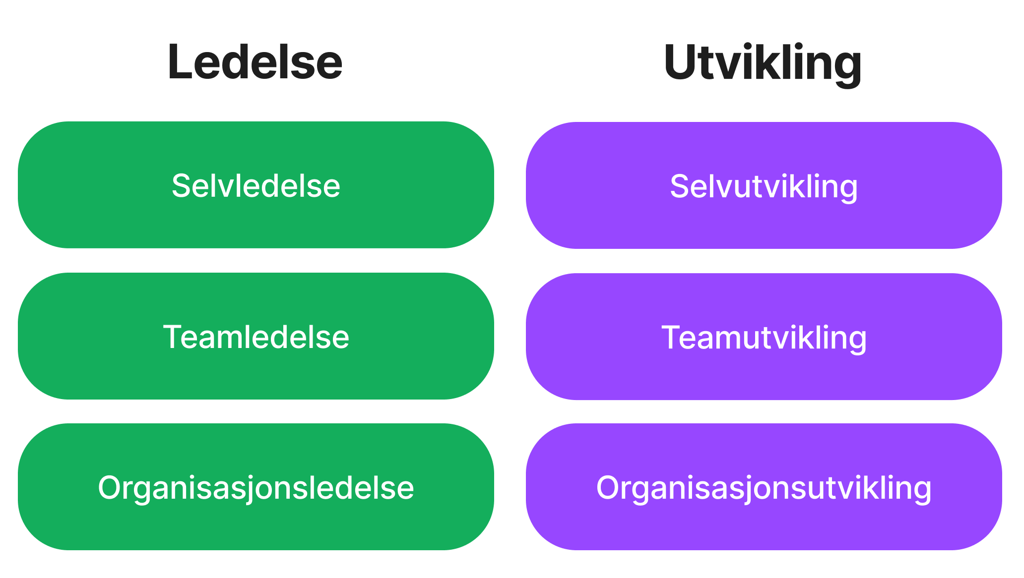 Ledelse: Selvledelse, Teamledelse, Organisasjonsledelse. Utvikling: Selvutvikling, Teamutvikling, Organisasjonsutvikling